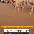 ابل جمله للبيع موقع التميز الخرج عدد 47 متن