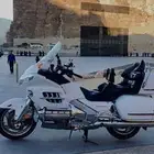 قولد وينق لفل 4