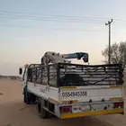 دانه متواجده ف الحناكية
