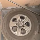 للبيع جنوط جكسار شد بلد