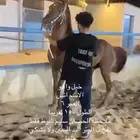 خيل واهو