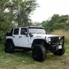 رفارف رانجلر شورت