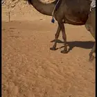 خلفه مجهم كفو