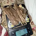 عود عندي 100