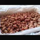 خلاص ملكي درجه اولى