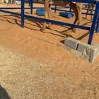 بكره شعلا كفوو ياهل البداوه