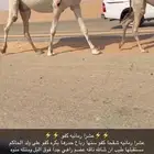 عشرا كفو