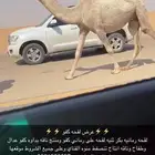 لقحه بكر