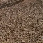 شرق الحليفه 10كيلو