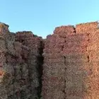 ذره جيزانيه ناعمه ورق قصب