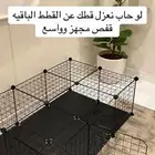 الي عنده مستلزمات قطط ومايحتاجها يكلمني