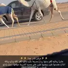 عشرا كفو