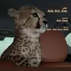 يوزرات انستا ب انواعها