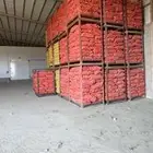 ثلاجه بطاطس أو تمور
