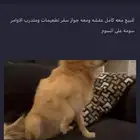 كلب
