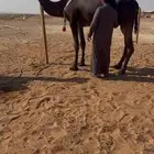 خلفه مجهم كفو