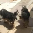 مكة   جدة   الطايف   الهدا