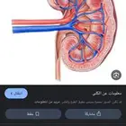 كليه بني ادم