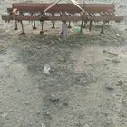 مشط زراعي للبيع