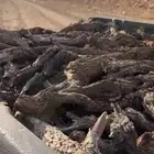 هايلوكس مسحه ارطا