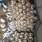 حمام فرنسي جانبو