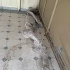 كتباك سييرا وكاله
