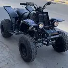 مطلوب بانشي دباب