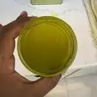 زيت زيتون الجوف بسيطا تاريخ العصرة 23-10-2025