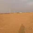 ارض زراعية في الجله