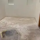 سجاد