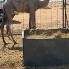 حوار علياني له مستقبل بإذن الله مرفقه صورة ابوه
