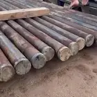 توابي الخريف جدد