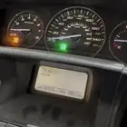 قولد وينق