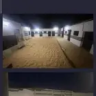 خيل