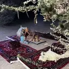 من يحتاج توصيل أغراض من حايل إلى الرياض   يتفضل