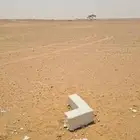 ارض زراعية في الجله