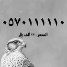 ارقام مميزه