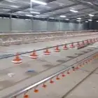 موسسه مقاولات لأنشاء حضائر الدواجن واللوحات الكهربائيه