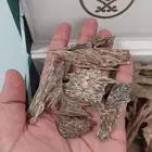 عود ماليزي سوبر مرتفع و دبل