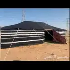 بيوت شعر جديدة استخدام يومين فقط