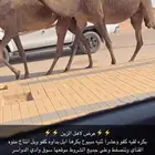 صفر مفو بكره وعشرا