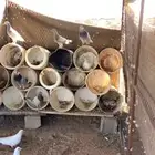 حمام