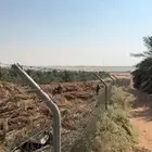 مخلفات نخيل مجاني الموقع الغماس قنيان نخيل حسبان جديد