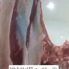 حاشي بلدي 55