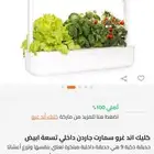 اول متصل الله يبارك له حديقة خضار واعشاب منزلية جديدة
