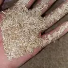 بذر هيبان