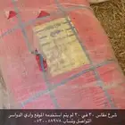 شراع