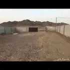 حمام للبيع