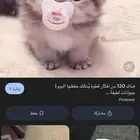 شقه ايجار سنوي قريب من الجموم صغيره شخصين