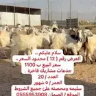 مشاريك فاخره